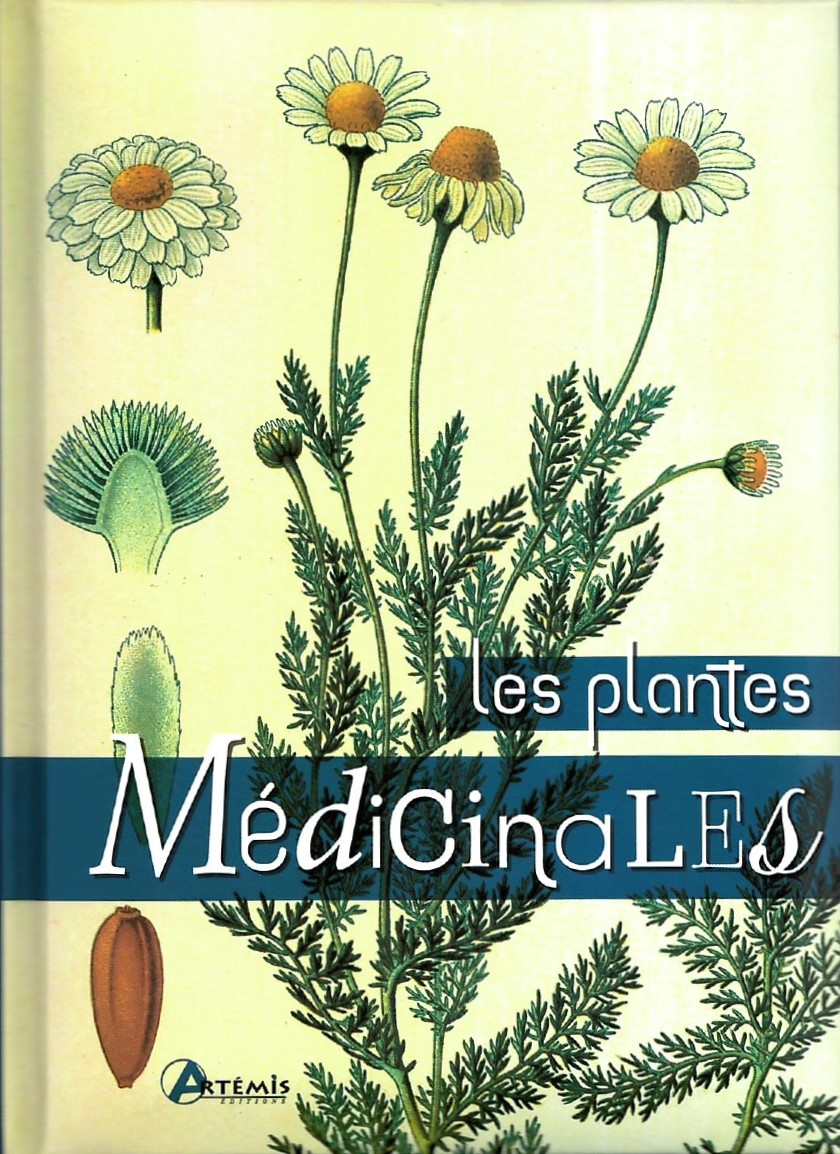 Herbes et plantes médicinales : Sarrasin - EGK