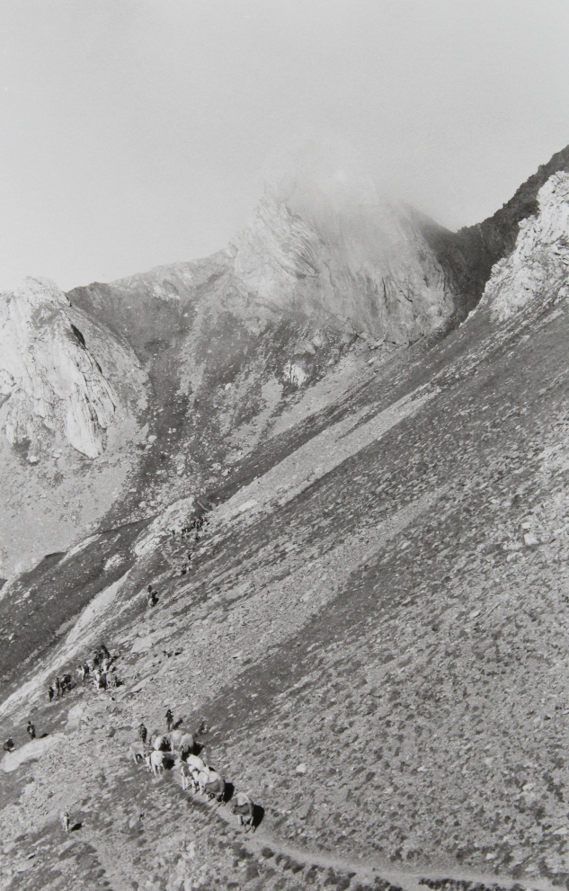 La Profondeur des Champs – Expo Photo