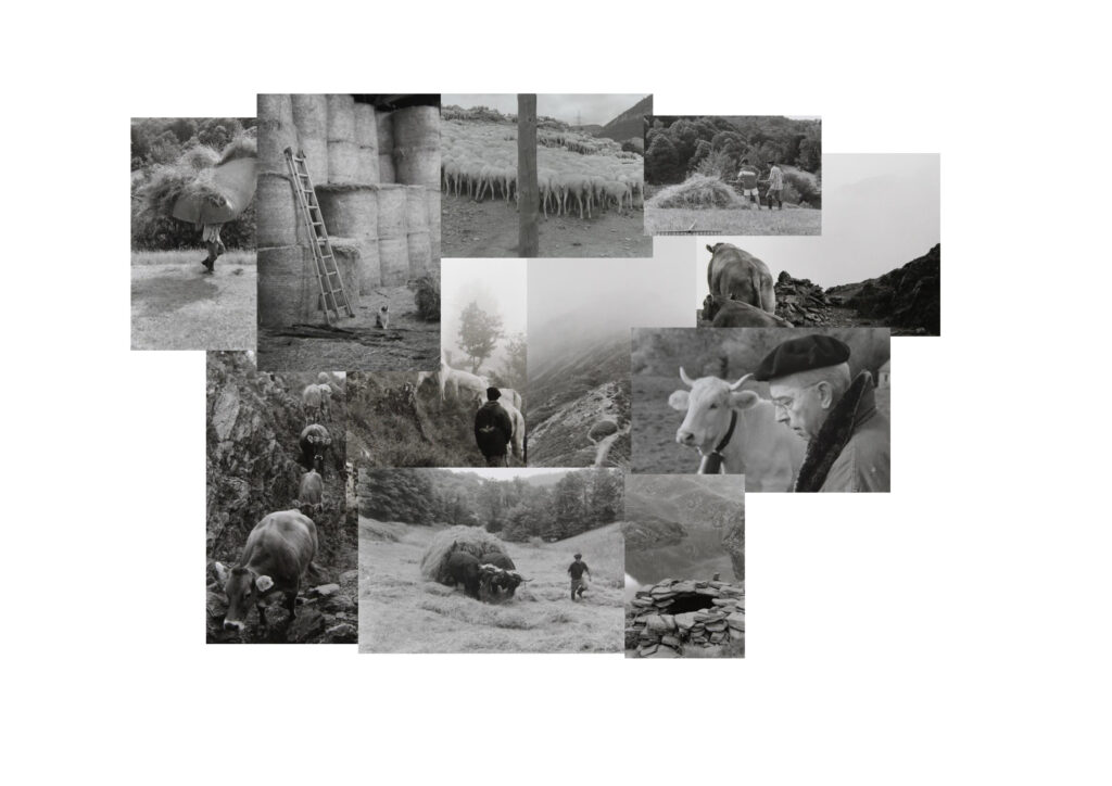 ATELIER pour adultes D’initiation au tirage argentique noir et blanc