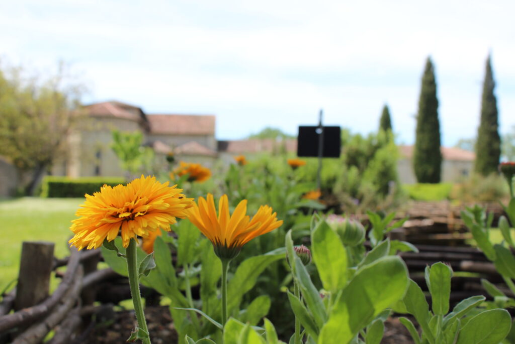 RENDEZ-VOUS AUX JARDINS